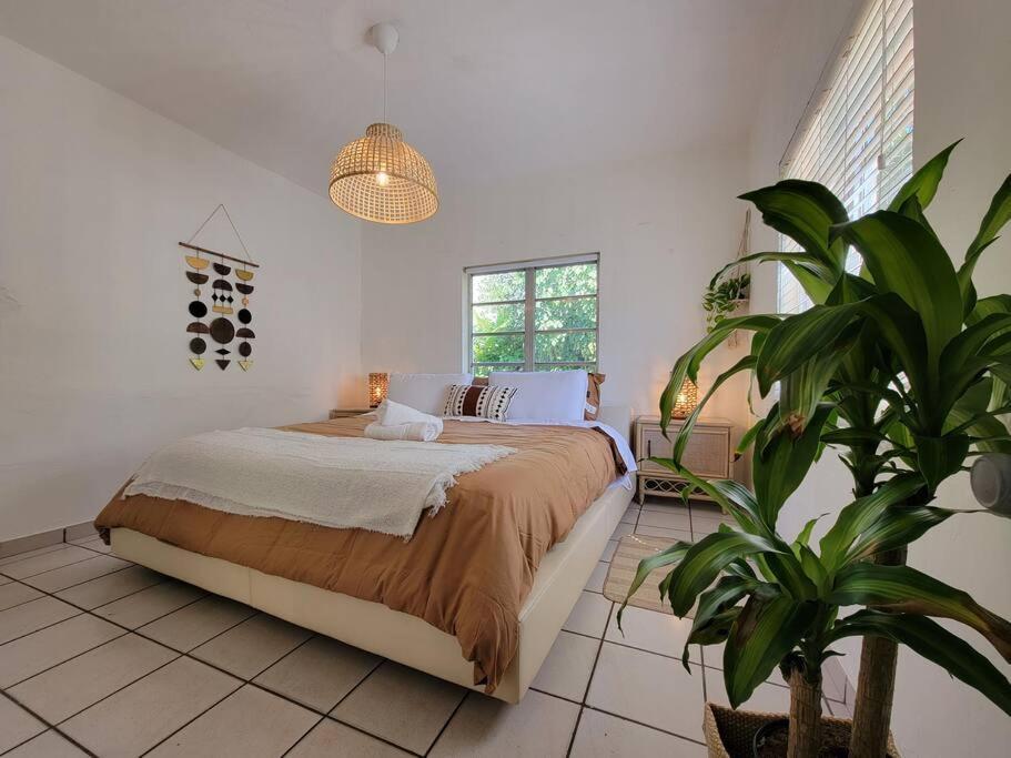 Apartamento Tropical Charm Little Havana Calle Ocho 3 *
